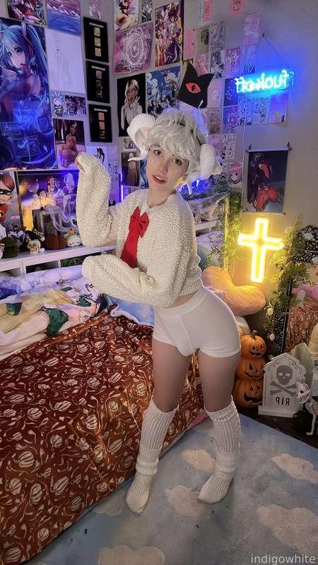 indigowhite image #106