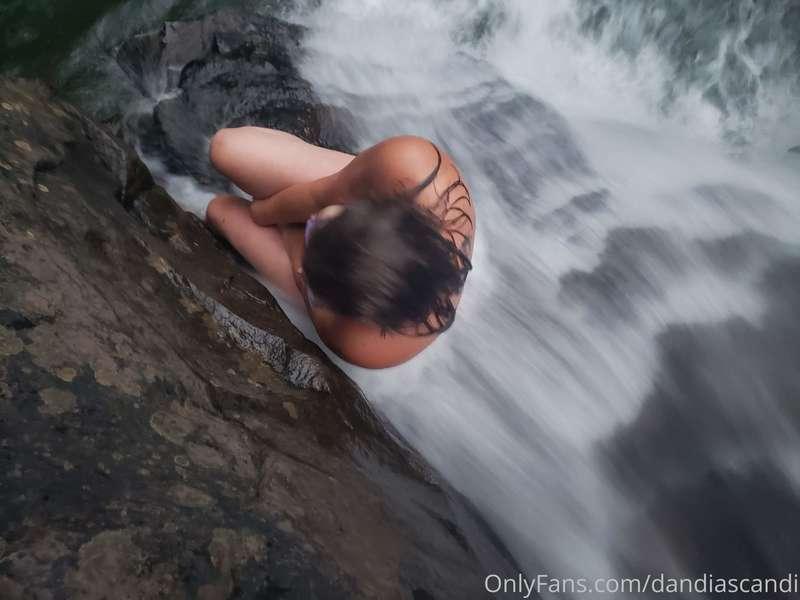 dandiascandi image #5