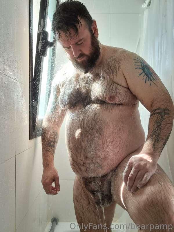 bearpamp image #0