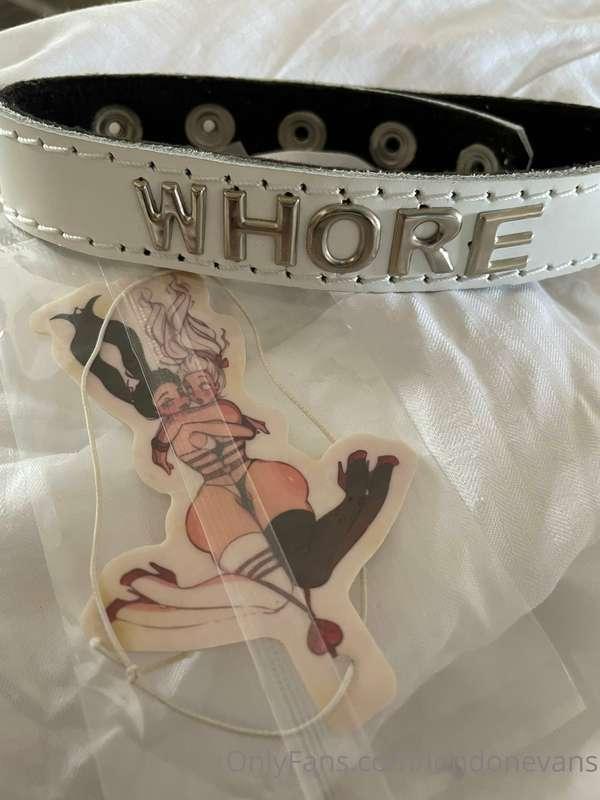 What do you think of my new collar, should I wear it in any ..