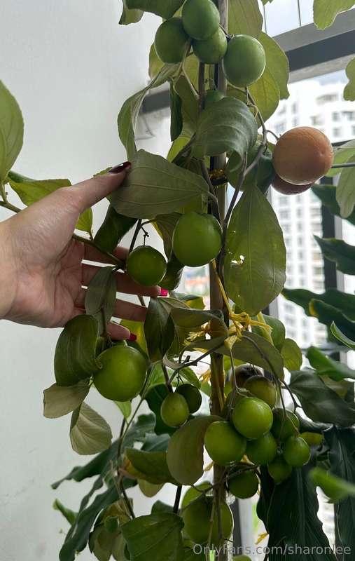 My girlfriend has balls on her balcony lol 🤣🤣