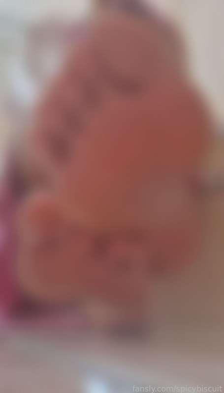 spicybiscuit image #0