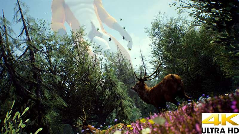 Vulpes Forest Test 4K