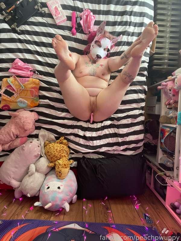 peachpwuppy image #14