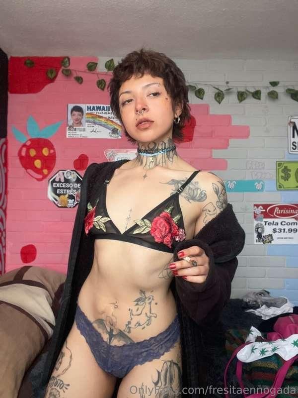 fresitaennogada image #0