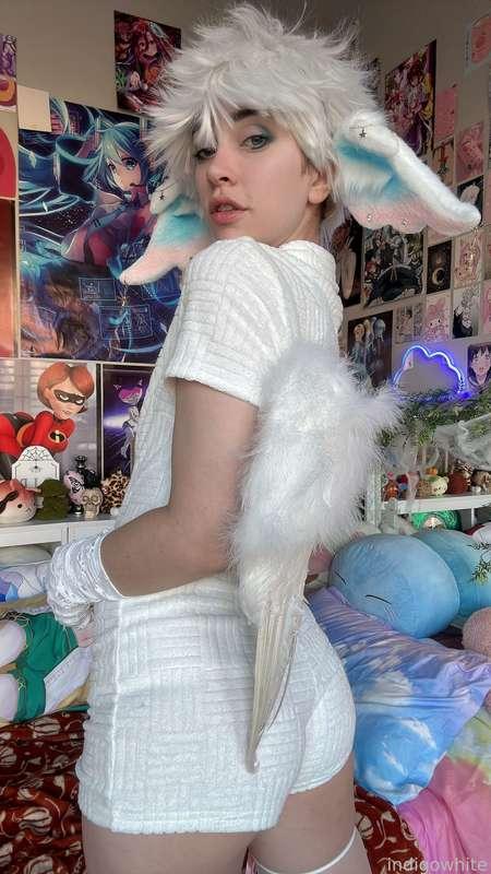 indigowhite image #204