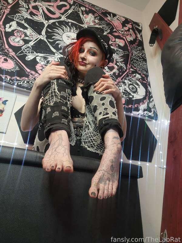 thelabrat image #2