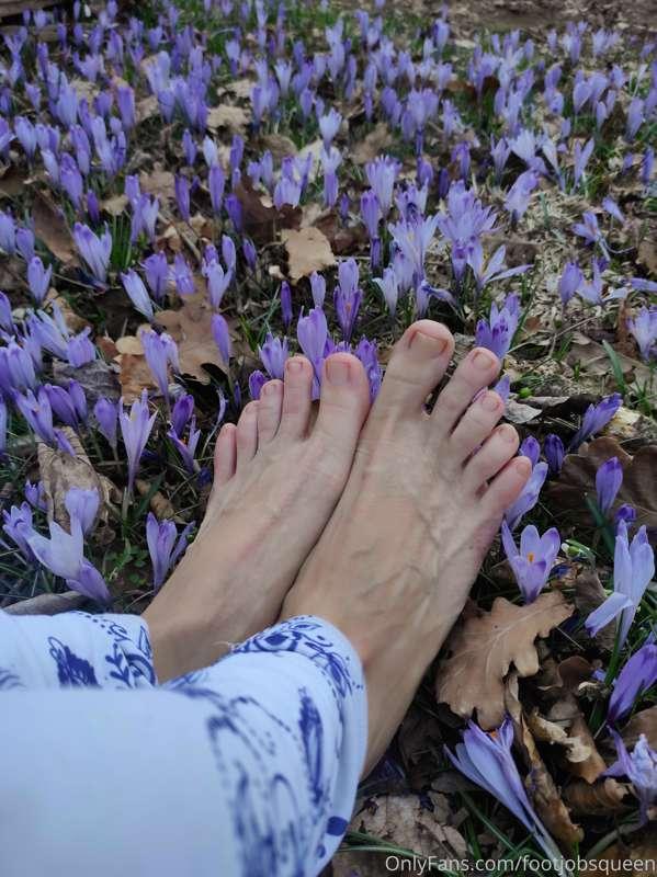 Do you think my feet smell better than the flowers? 😉👣🌷