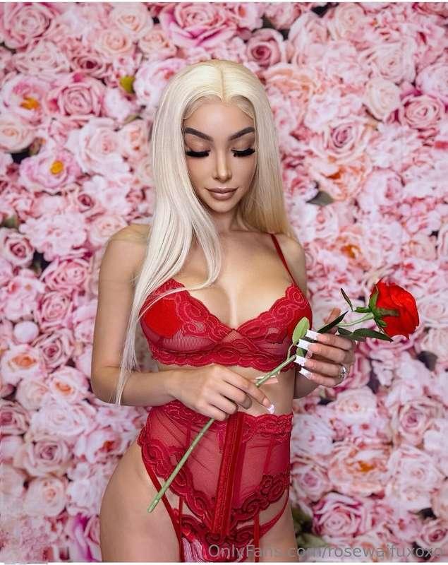 A rose for you ❤️🌹