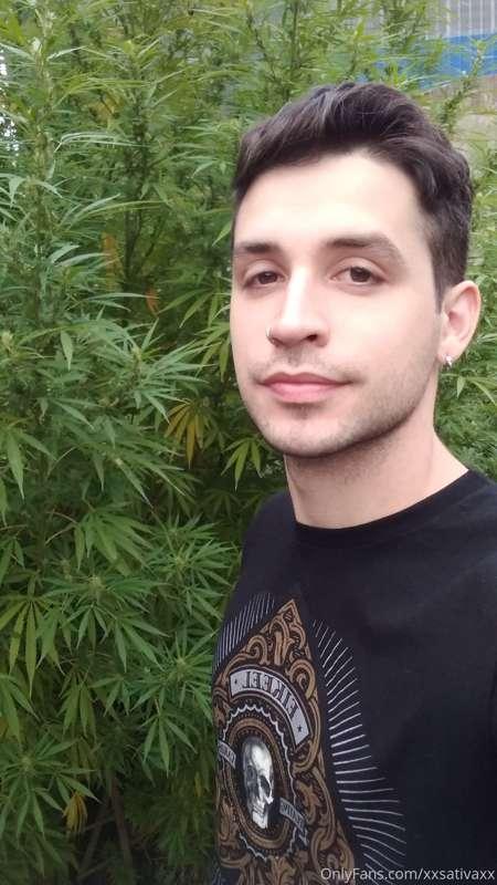 Weed 👽🍁❤