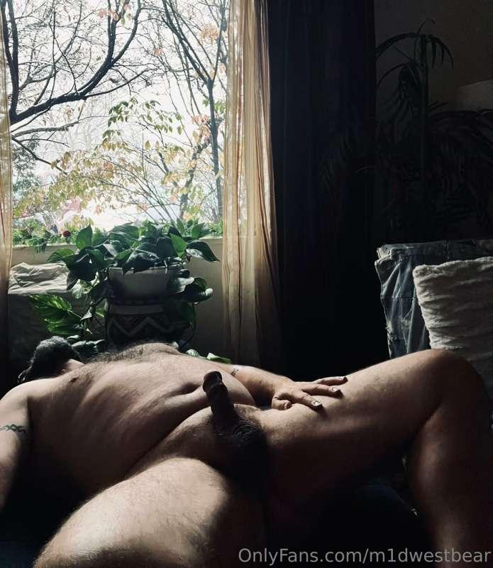 m1dwestbear image #14