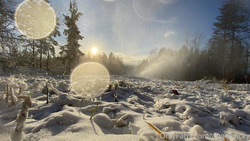 Winter nature. Zimní příroda