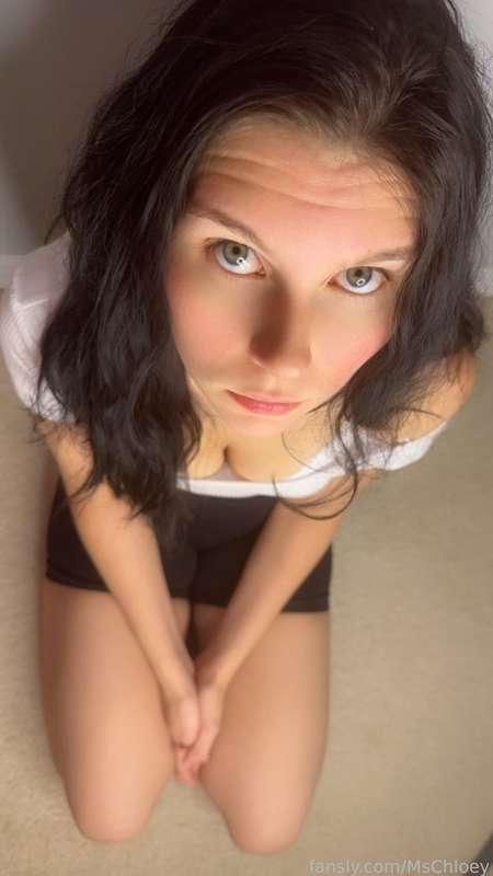 mschloey image #2