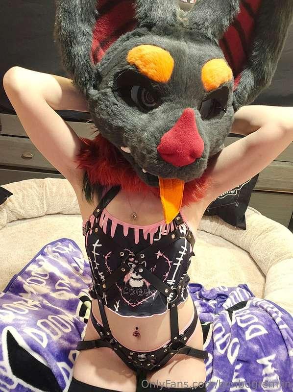 This bat needs a good breeding 😘