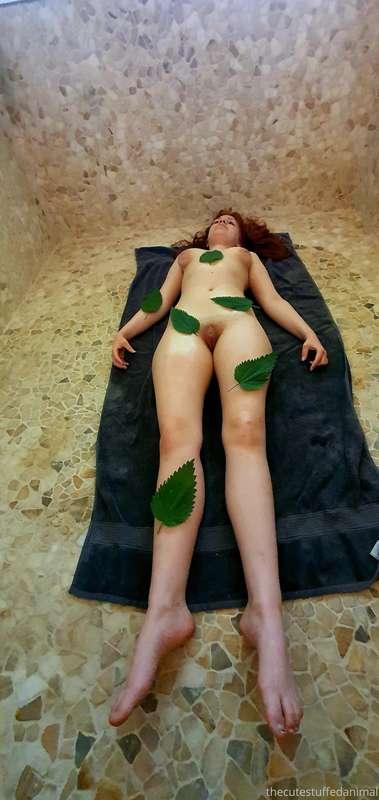 thecutestuffedanimal image #2