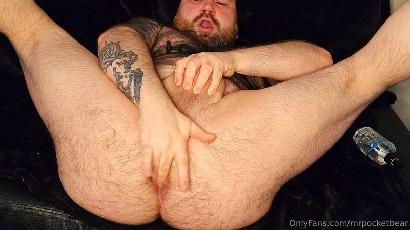 mrpocketbear image #1