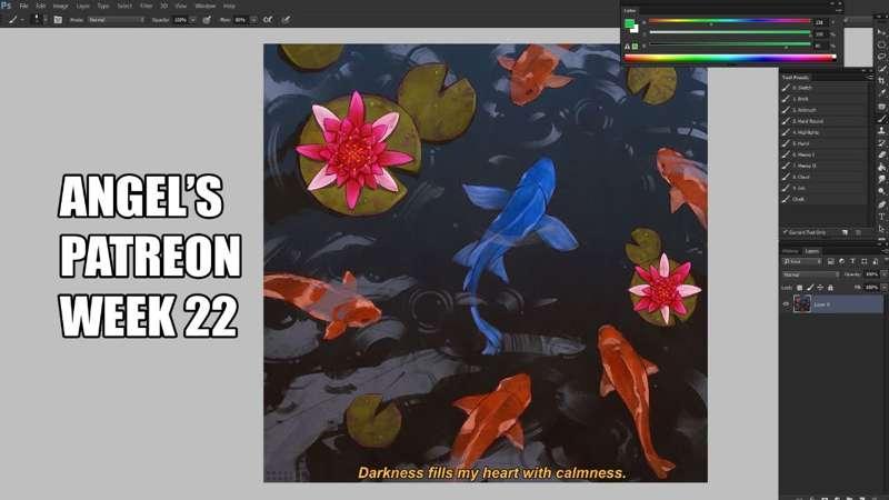 Special Livestream - WEEK 22