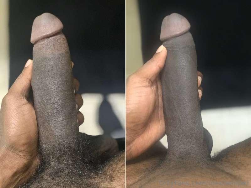 What’s your preference? Hairy or Shaved? 🤔🗳️