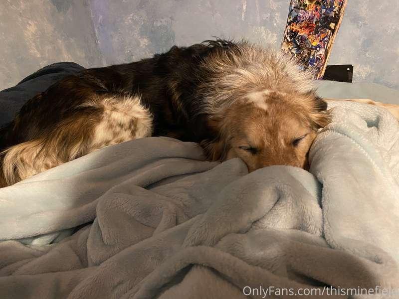 Sorry for no uploads lately, my furbaby isn’t feeling too go..