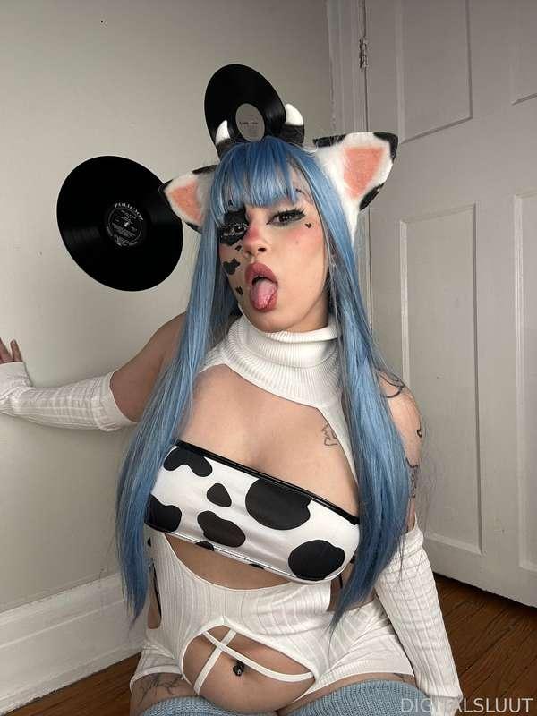 bunnisluut image #10