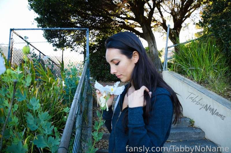 tabbynoname image #6