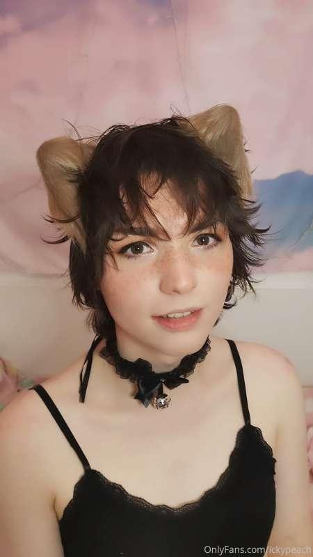 Wolf Girl🐺 gives you lots of lickies and let's you pet her e..