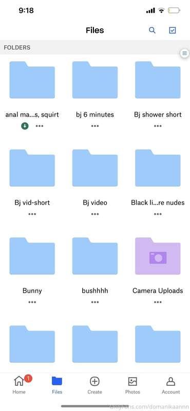 All the Dropboxs I have! 🥵 (folders that say personal,public..