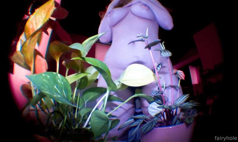 ˚˖𓍢ִ໋𓍯𓂃🧚‍♀️‎₊˚⊹ ⋆🫧𓏲*ੈ‧₊˚