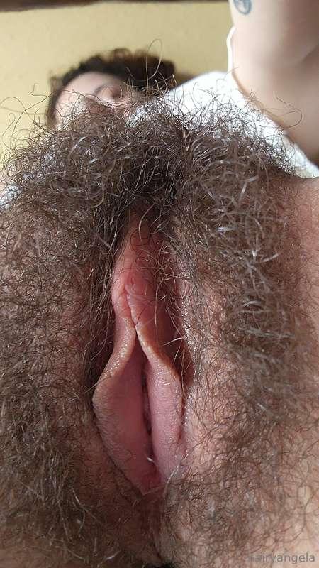 hairyangela image #0