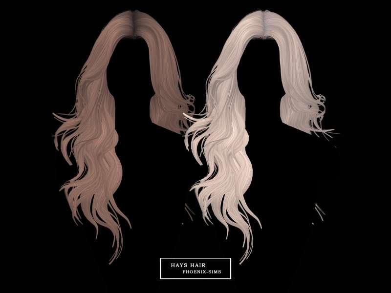 HAYS HAIR