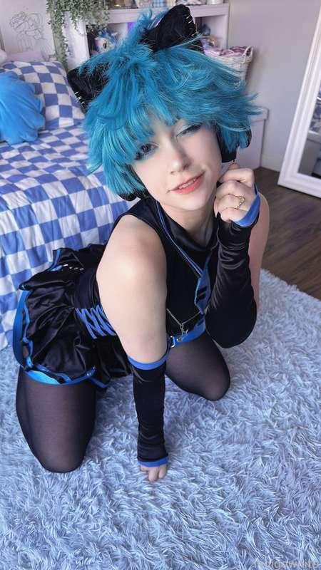 indigowhite image #135
