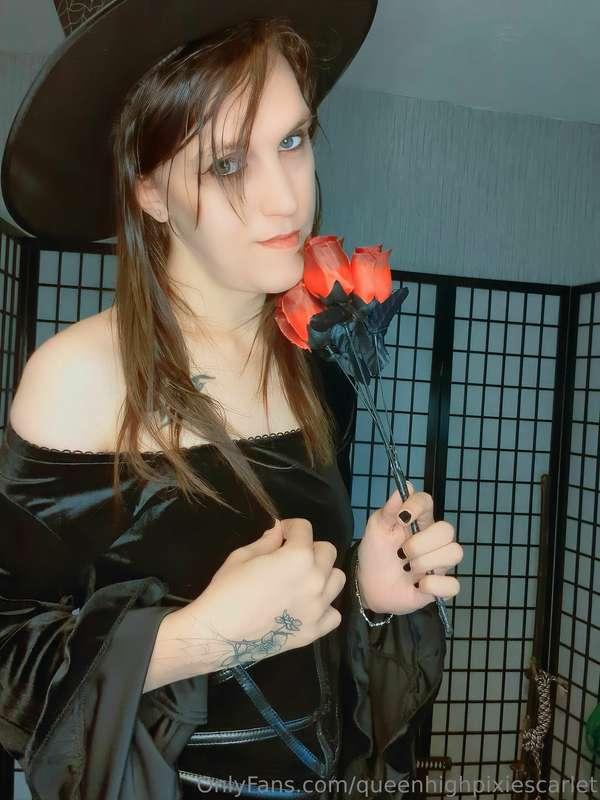 queenhighpixiescarlet image #2