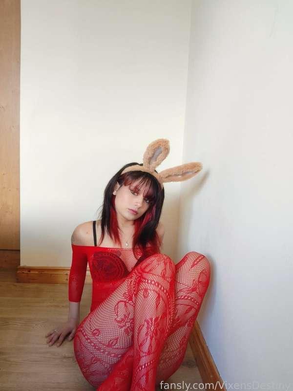 vixensdestiny image #2