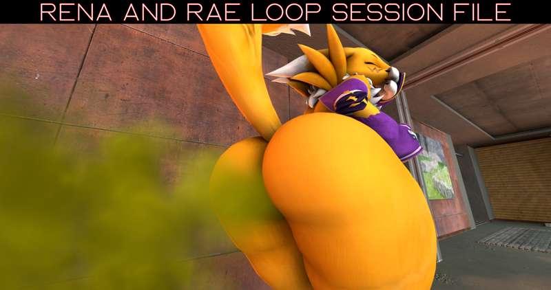 Rena Loop session file
