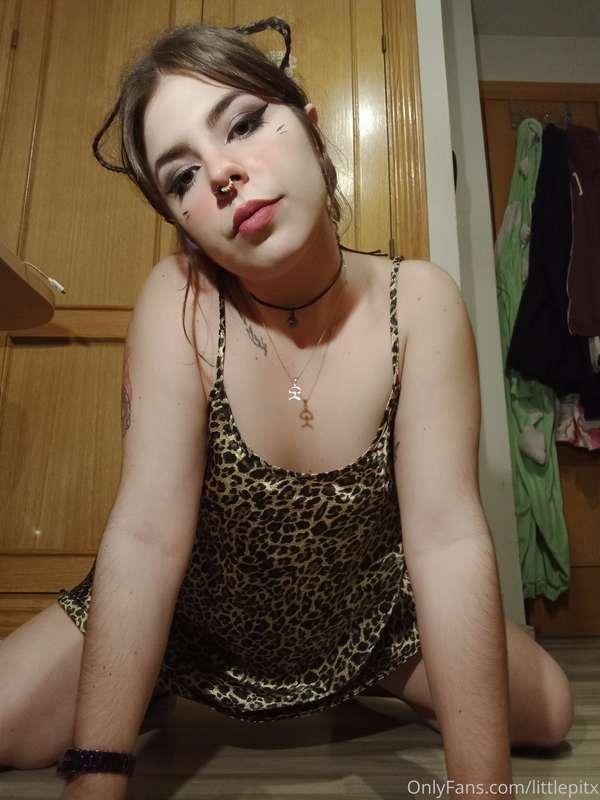 this cat needs a daddy