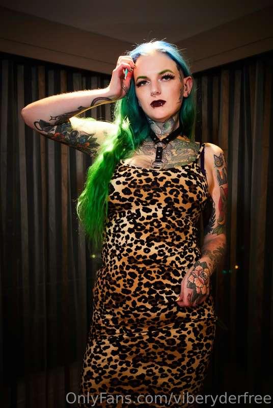 viberyderfree image #7