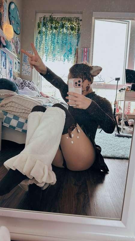 indigowhite image #37