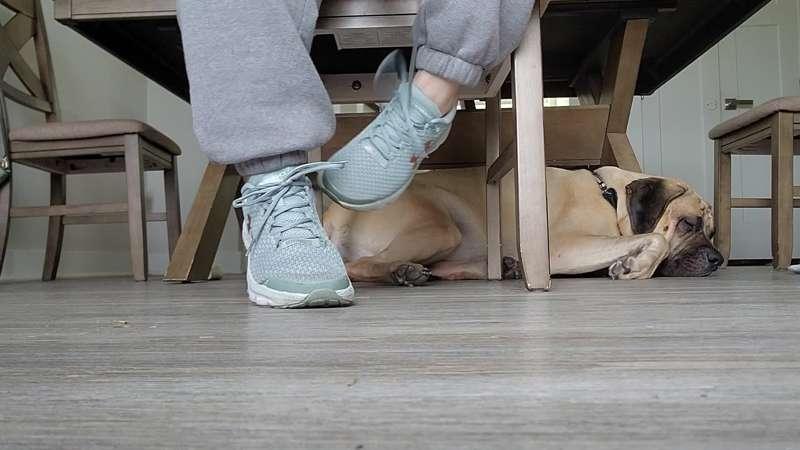 Shoes No Socks ASMR Request