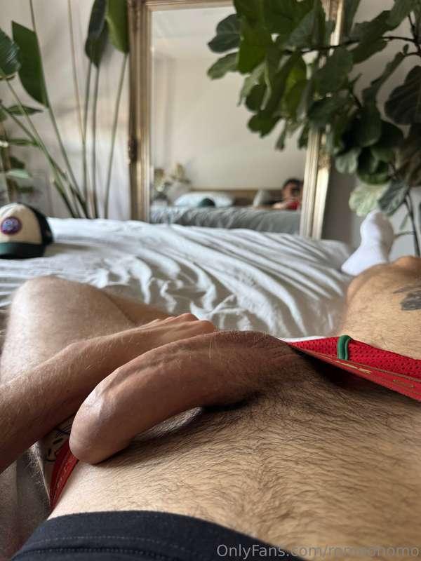 romeohomo image #0