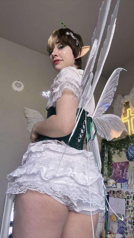 indigowhite image #419