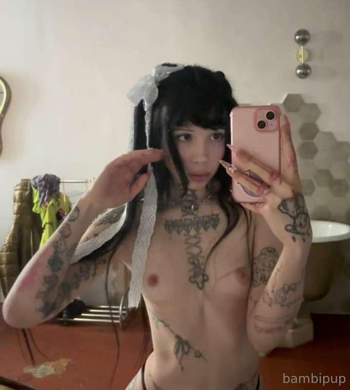 bambipup image #0