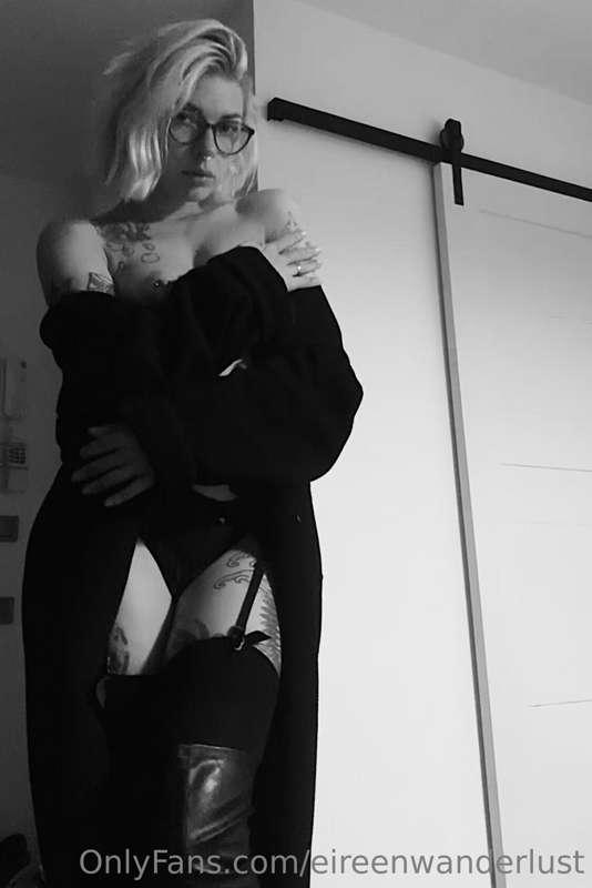 panettonevirginia image #0