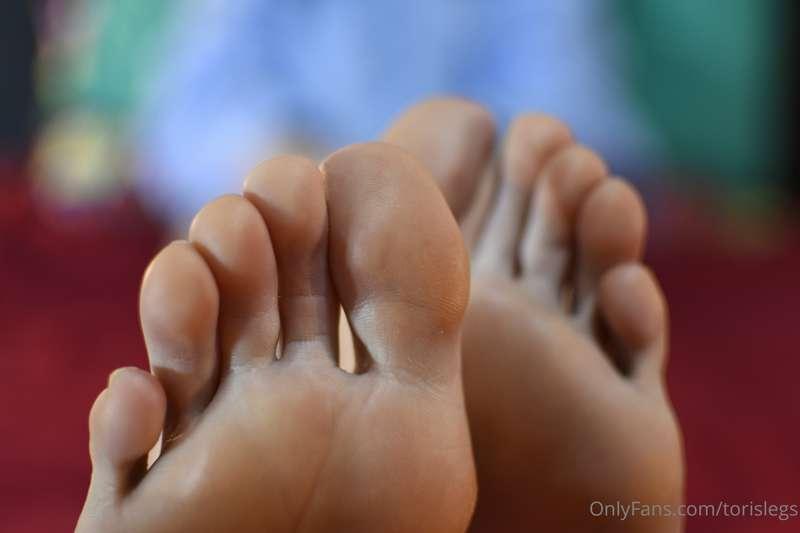 torislegs image #14