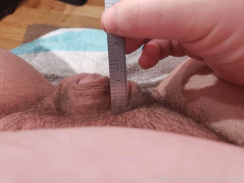 I measured my small soft dick