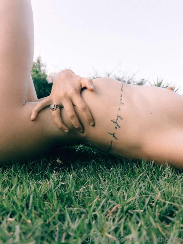 court.inthewild image #10