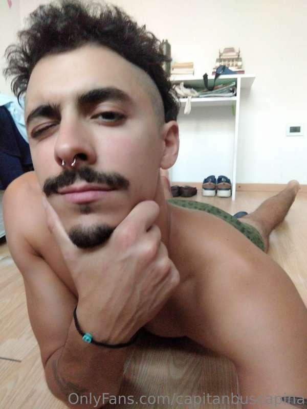 capitanbuscapina image #4