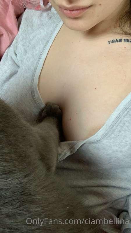 Buongiorno 🐱