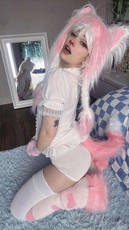 indigowhite image #127