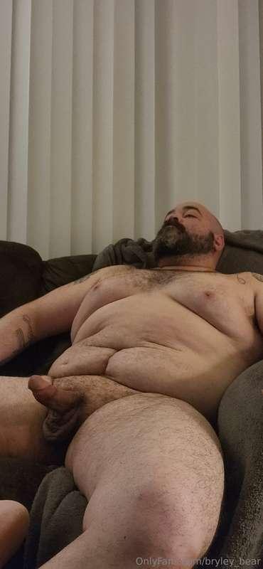 bryley_bear image #1