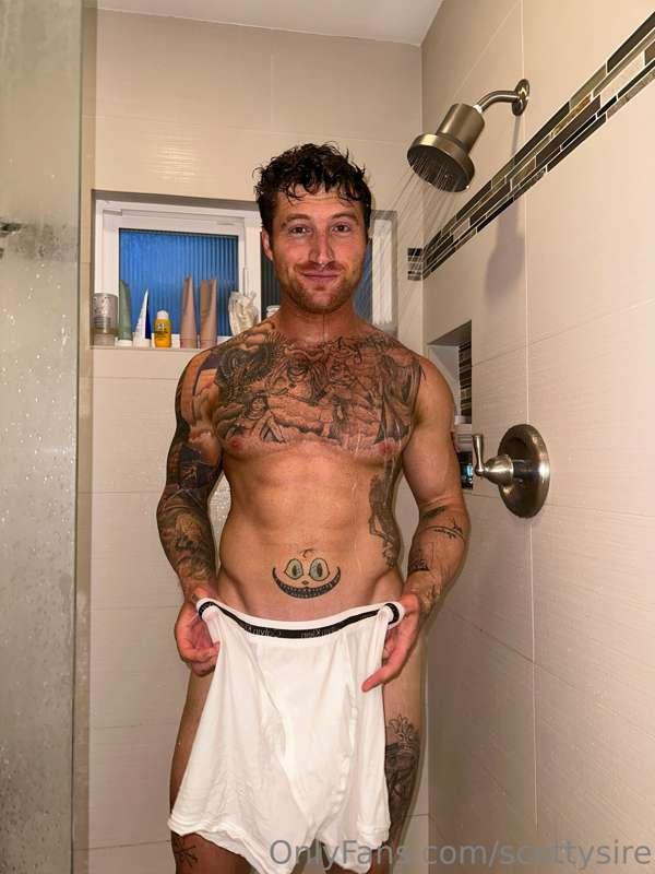 scottysire image #1